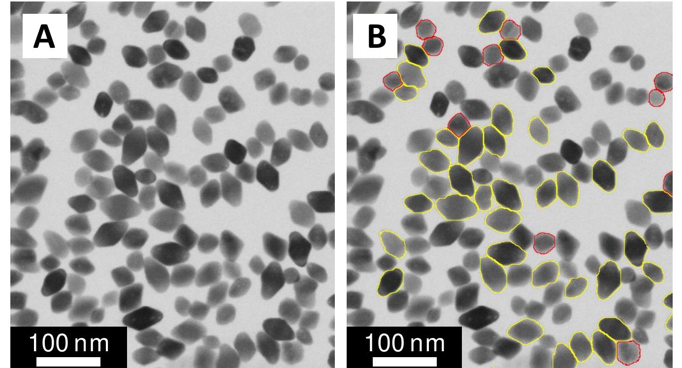 Implementing Tsem (PDF) Shape Recognition of Nanoparticles by High-Resolution SEM and TSEM