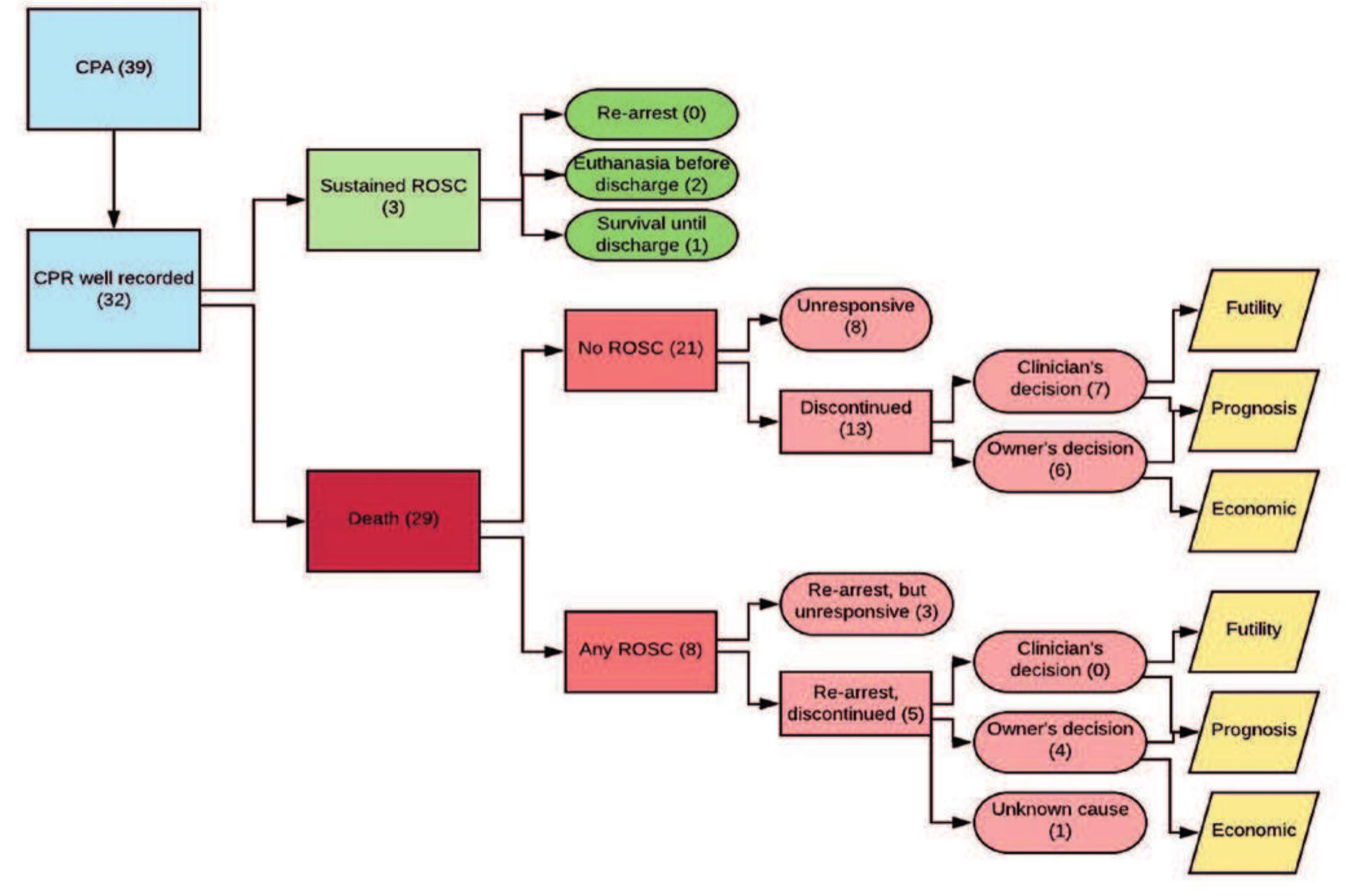 (PDF) Cardiopulmonary resuscitation and the RECOVER guidelines at the ...