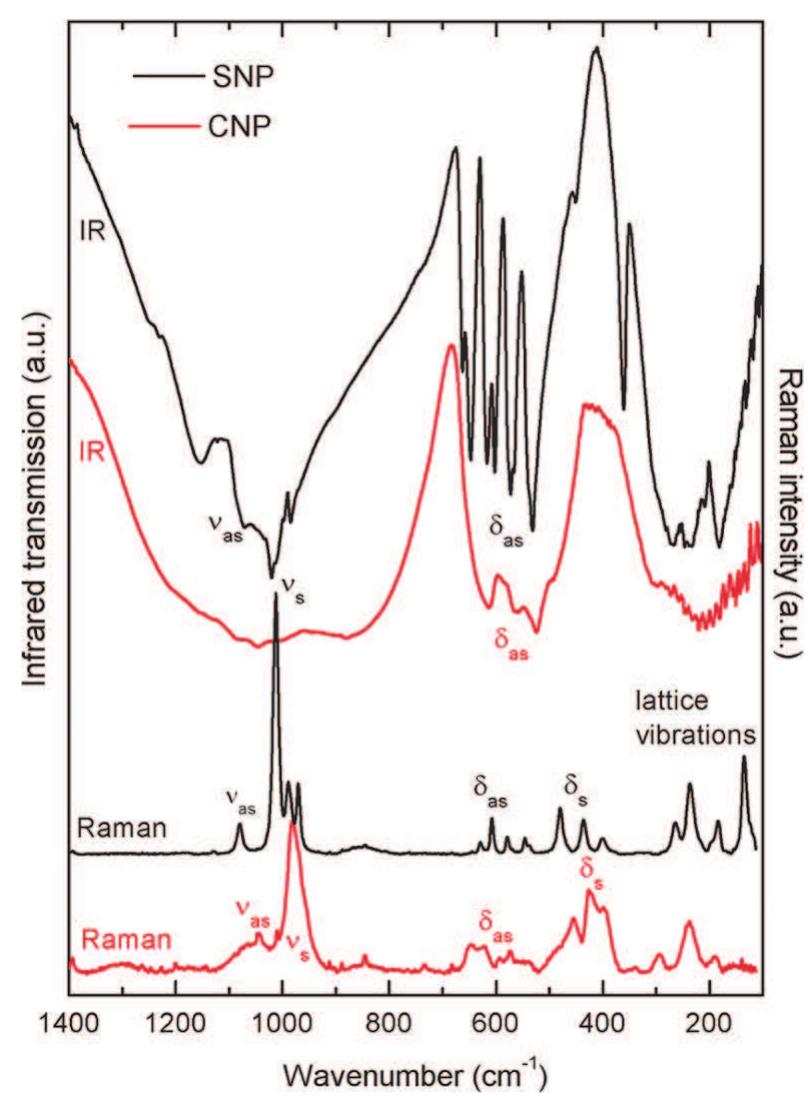 Room temperature ir and raman spectra of snp and cnp.