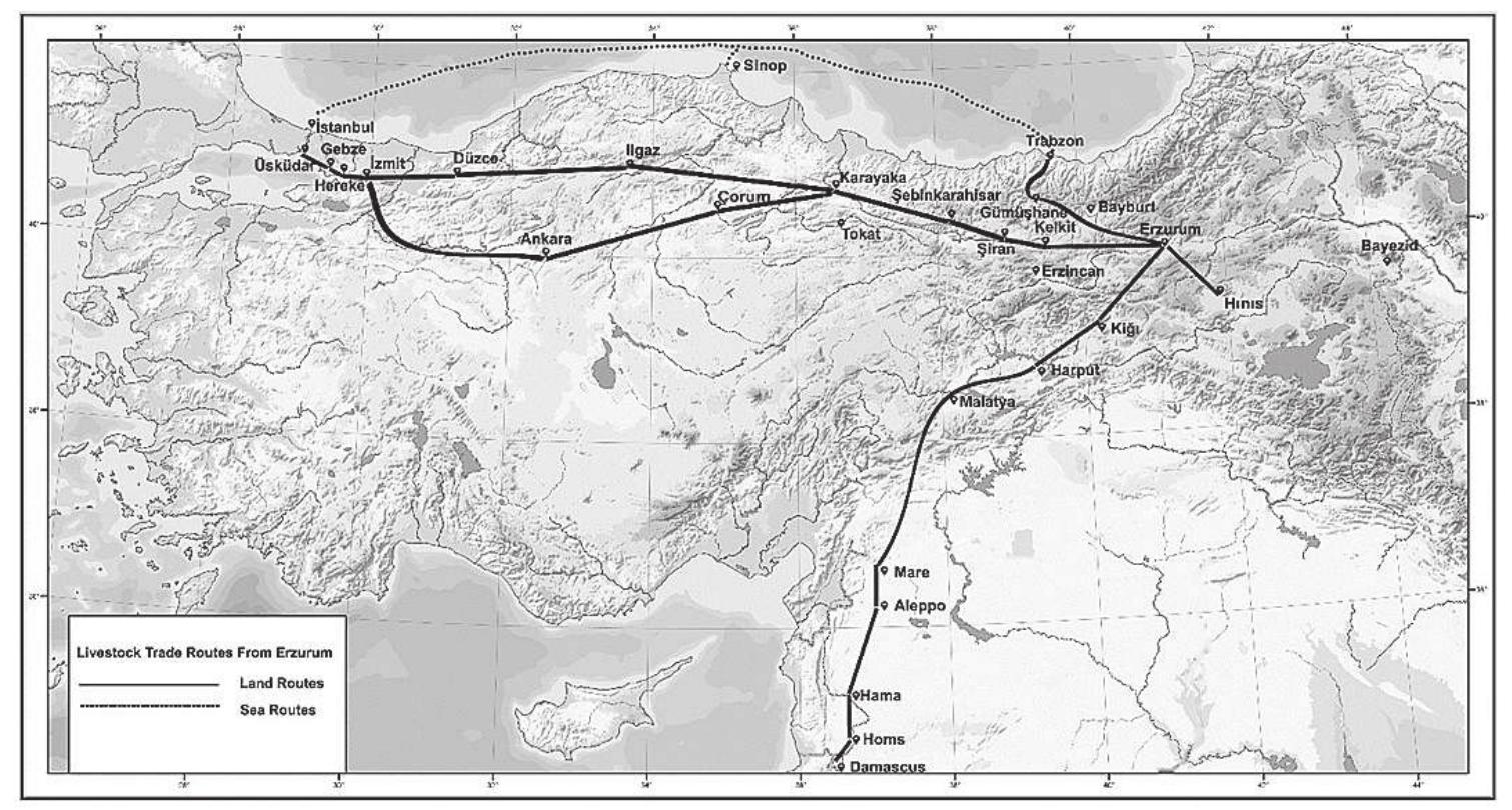 Such a long journey could be undertaken only in certain seasons of the year. Harsh weather conditions during the winter months were prohibitive. In 1834, the Erzurum merchants, who were reported to have 44,000 sheep in their pos- session, stated to the government that if they were required to make shipments to Istanbul in winter, all their animals would perish en route.” Hence, oftentimes a group of merchants came together and drove their herds, which varied in size from several hundred to 2,000, to the capital under the guidance of several shep- herds from spring to autumn, when the roads were in better condition and plants for foraging were not scarce.*° Even then, however, they had to deal with a vari-   Map 1. Livestock Trade Routes from Erzurum. 