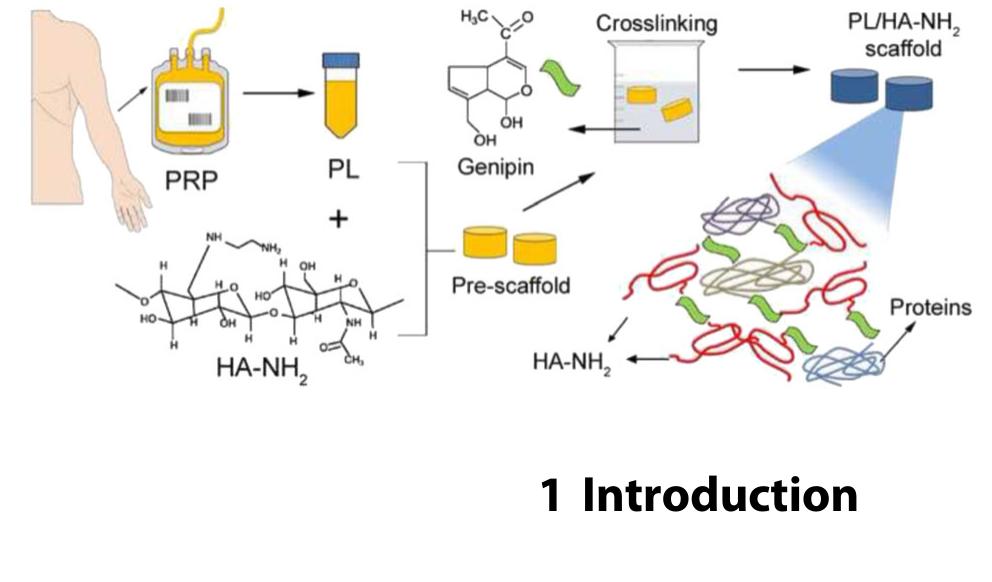(PDF) Autologous protein-based scaffold composed of platelet lysate and ...