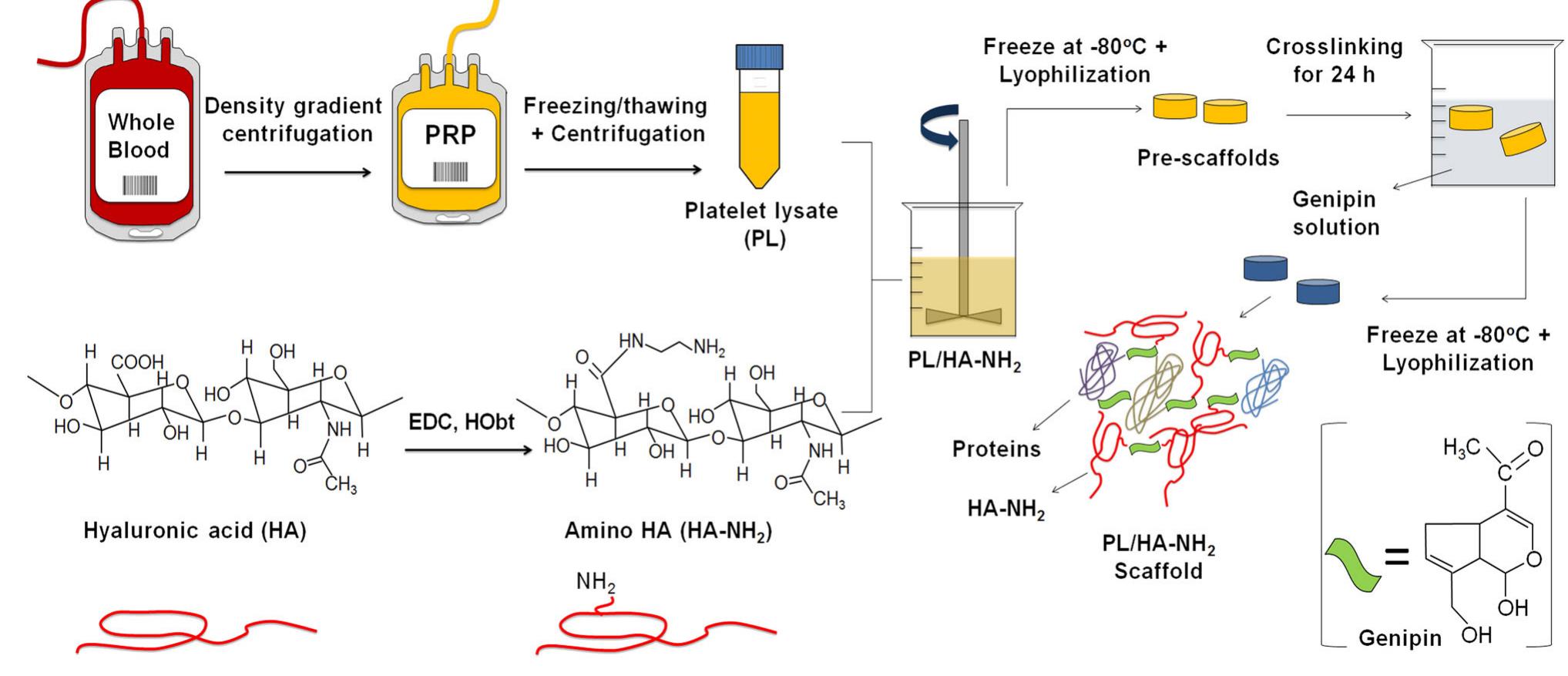 (PDF) Autologous protein-based scaffold composed of platelet lysate and ...