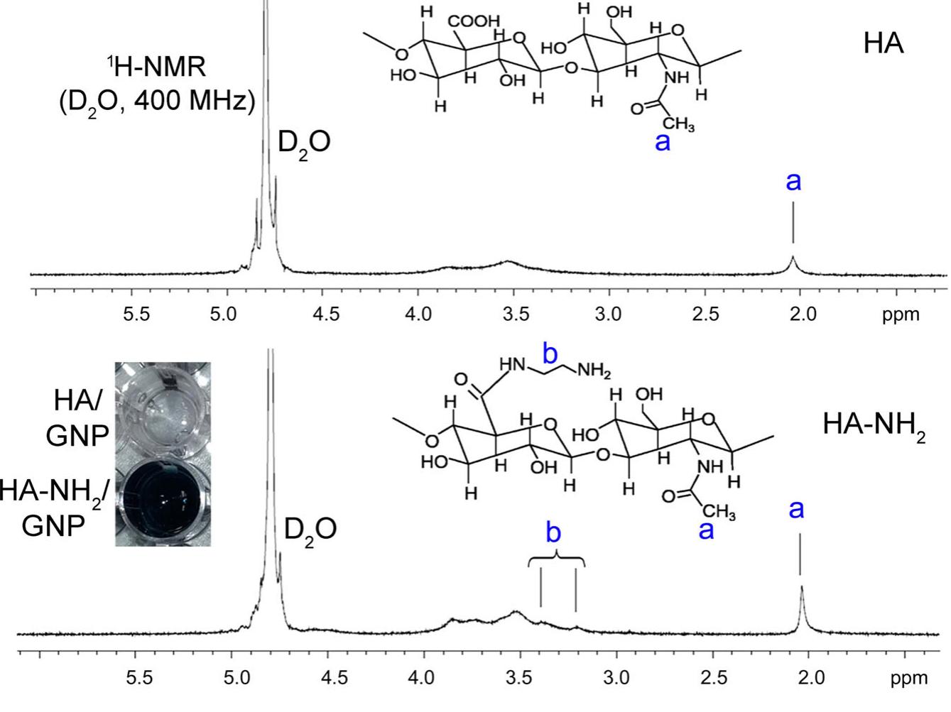 (PDF) Autologous protein-based scaffold composed of platelet lysate and ...