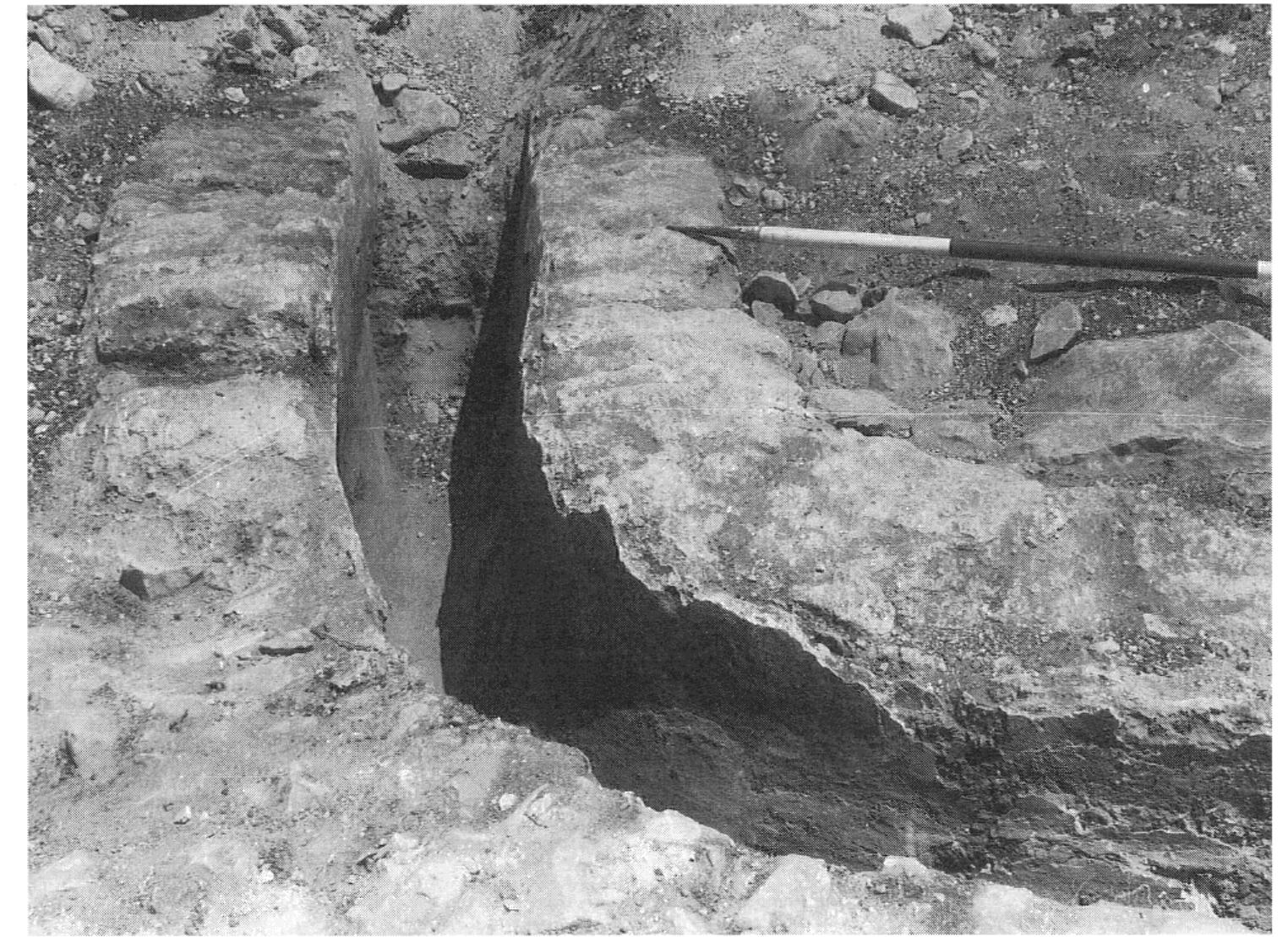 Fig. 5. The Shechem—Samaria aqueduct, a curve in the aqueduct, looking N (author). 