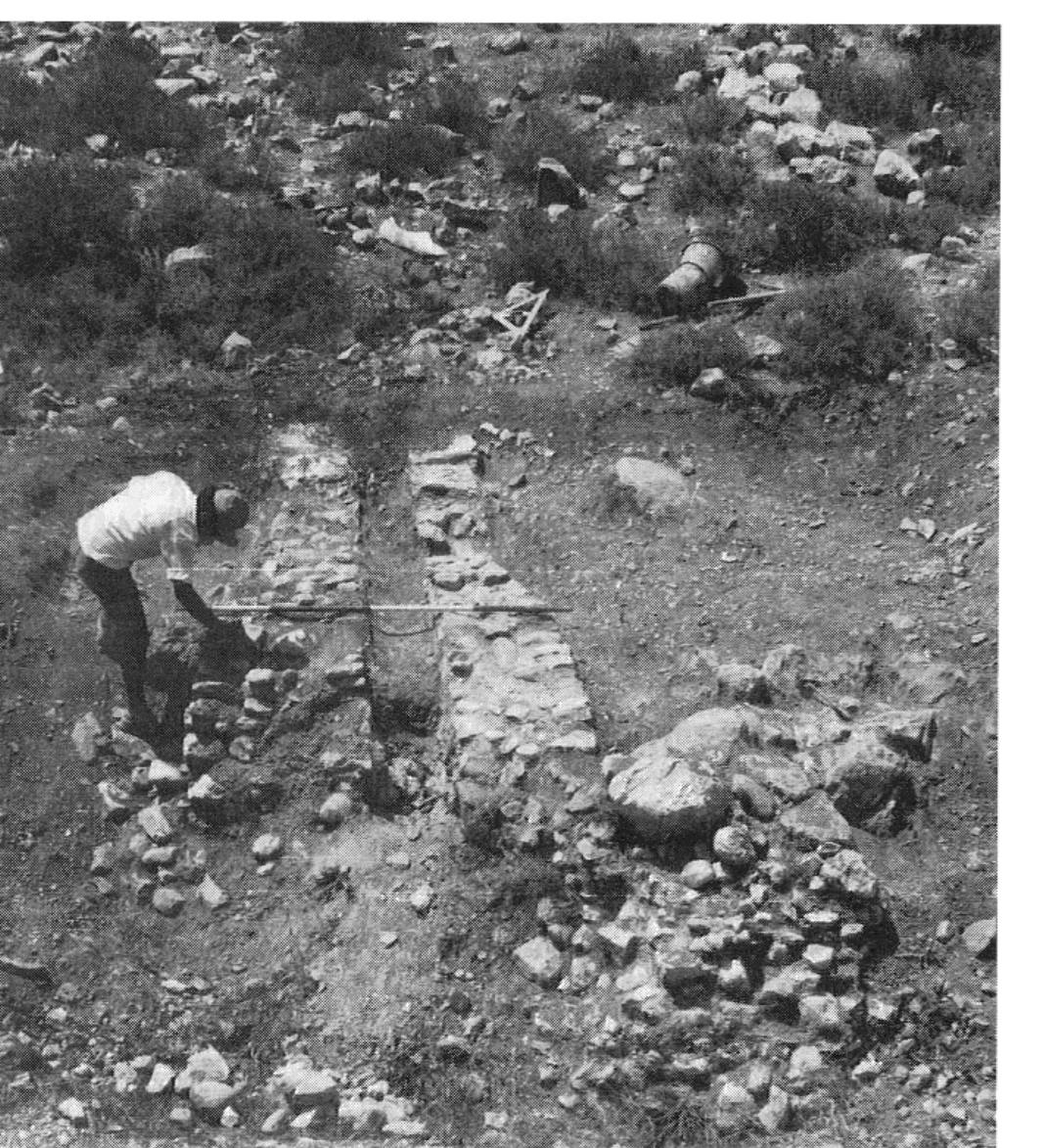 Fig. 9 (above). The Shechem—Samaria aqueduct, the structure crossing Wadi Hariza (author). 