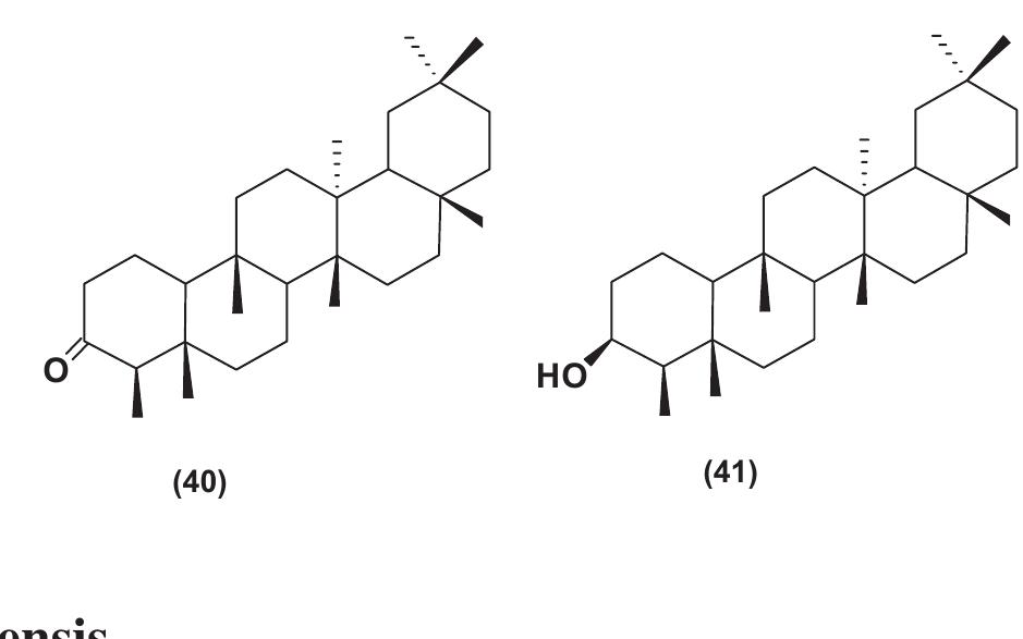 PDF) Natural Products as Source of Molecules with