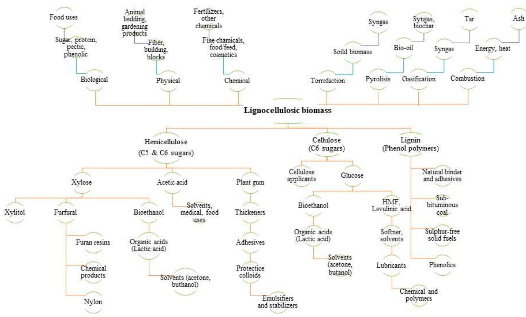 Diagram flow of lignocellulosic biomass bioconversion