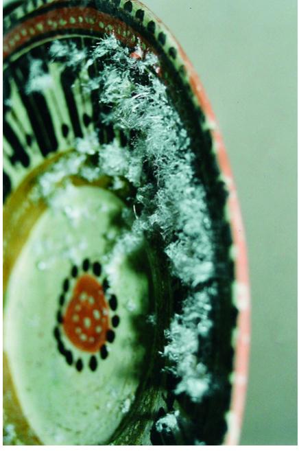 (PDF) A Collection of Ceramics Damaged by Acetate Salts: Conservation ...