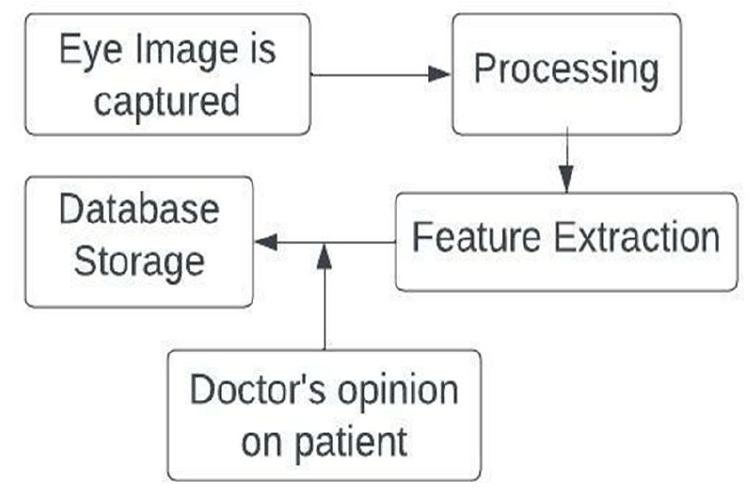 (PDF) Detection of Cataract and its Level based on Deep Learning using ...