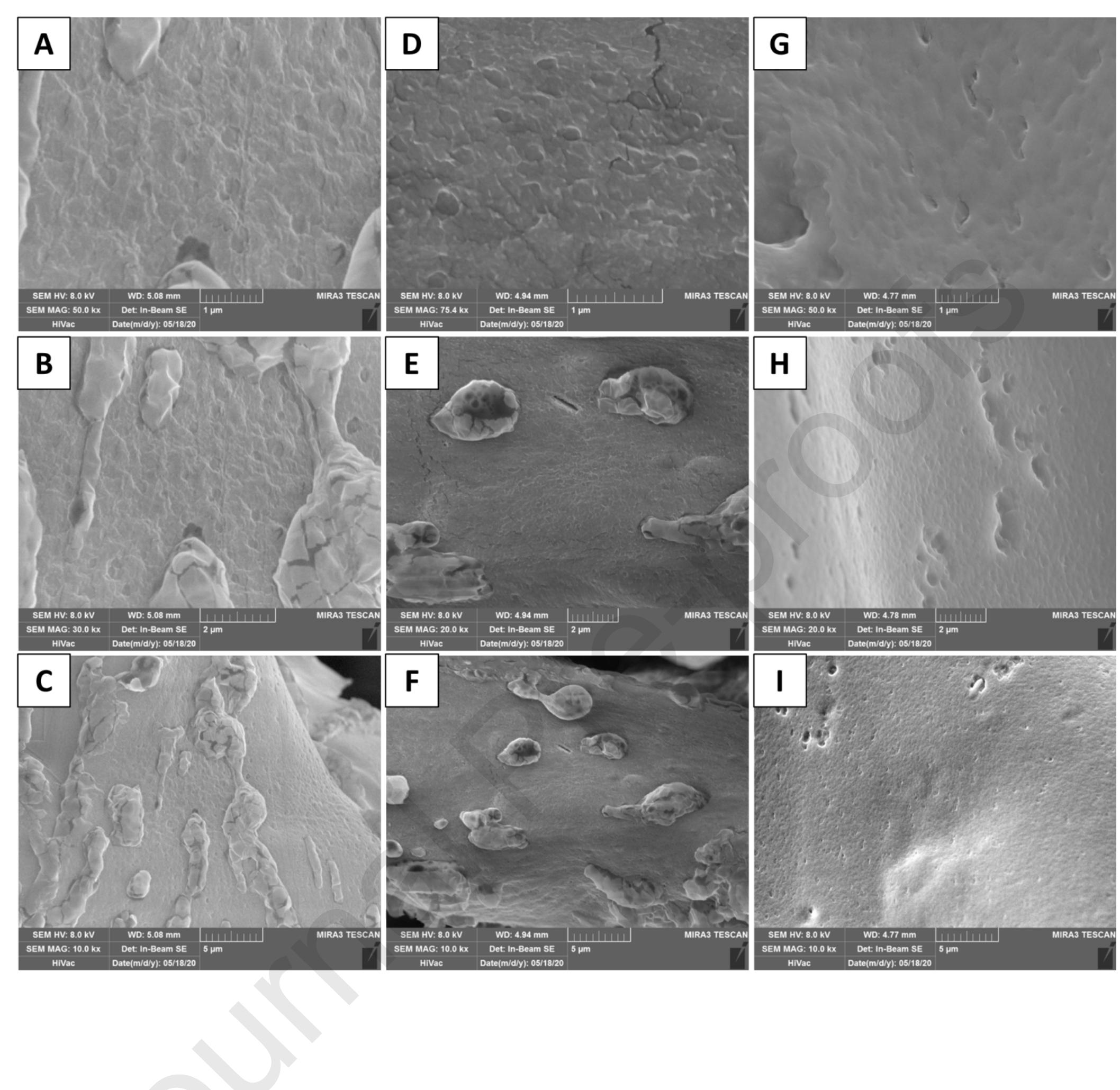 モイスト様 PDF) GMP-compliant sponge-like dressing containing MSC lyo