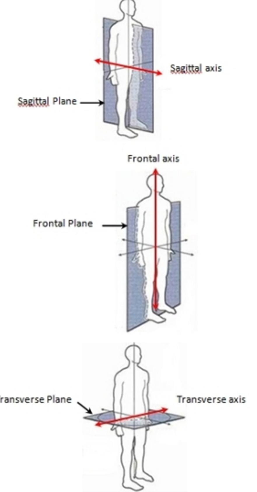 Figure 1 - from Using 3D Scanning Techniques in Orthopedic