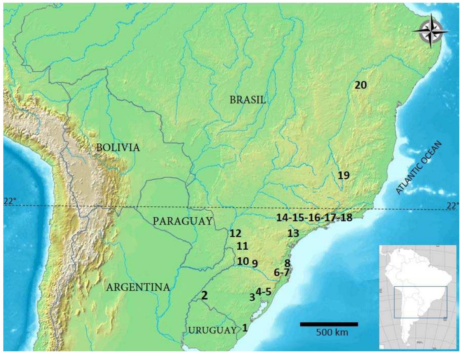 Shewal Point Brazil (PDF) Fishtail Projectile Points from South America: The Brazilian Record