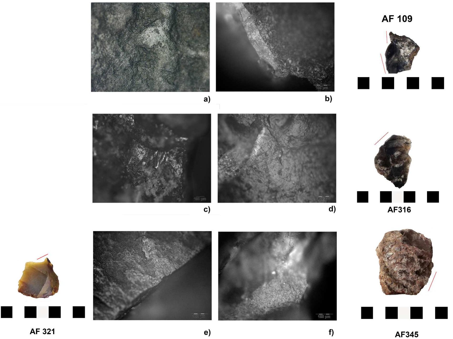 Lithic Analysis Lab (PDF) Use-wear analysis of lithic and bone artifacts coming from ...