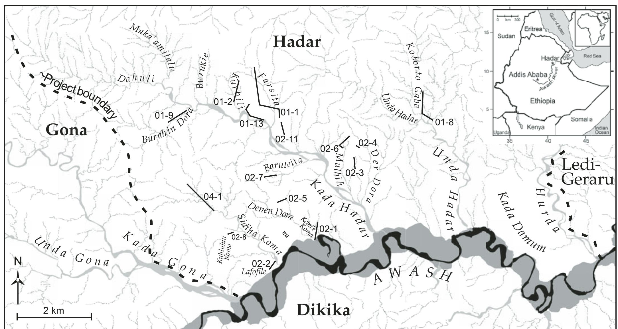(PDF) Depositional environments and stratigraphic summary of the ...