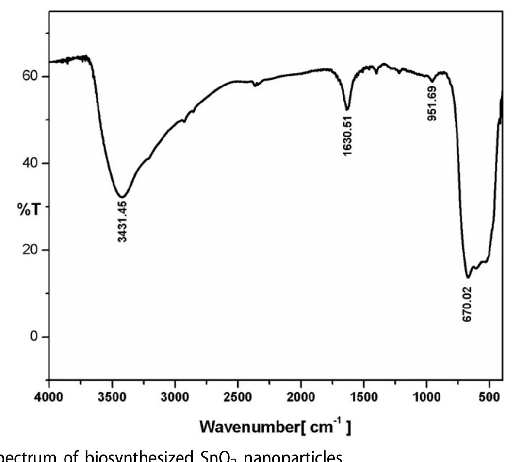 (PDF) Microwave-assisted green synthesis of SnO2 nanoparticles and ...