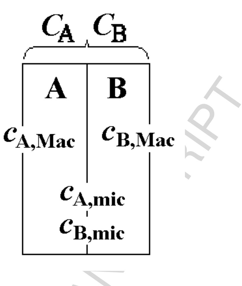 Micro Mixed Conceptual sketch of components a and b in segregated and