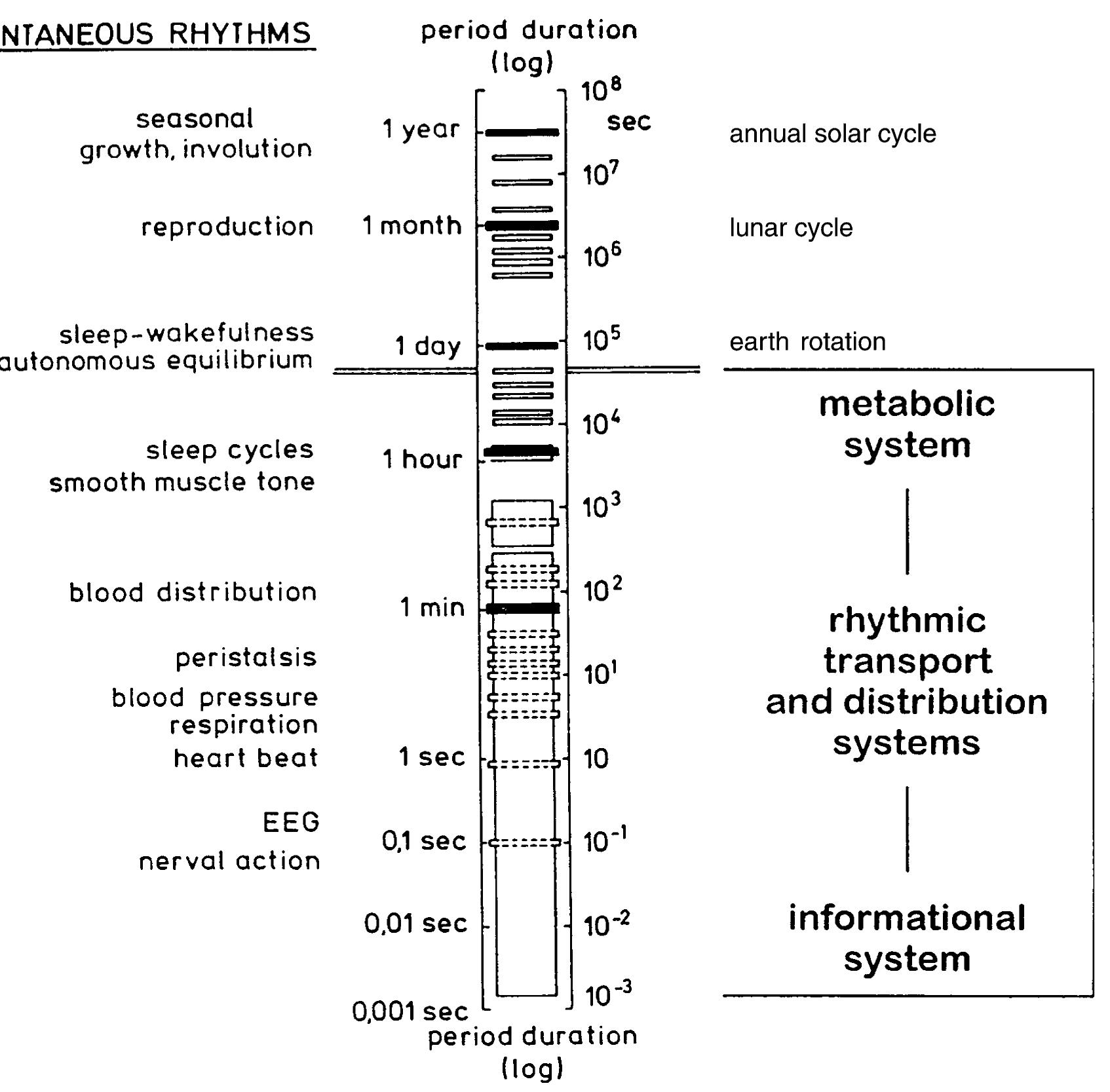 (PDF) 2006WhyLifeOscillates