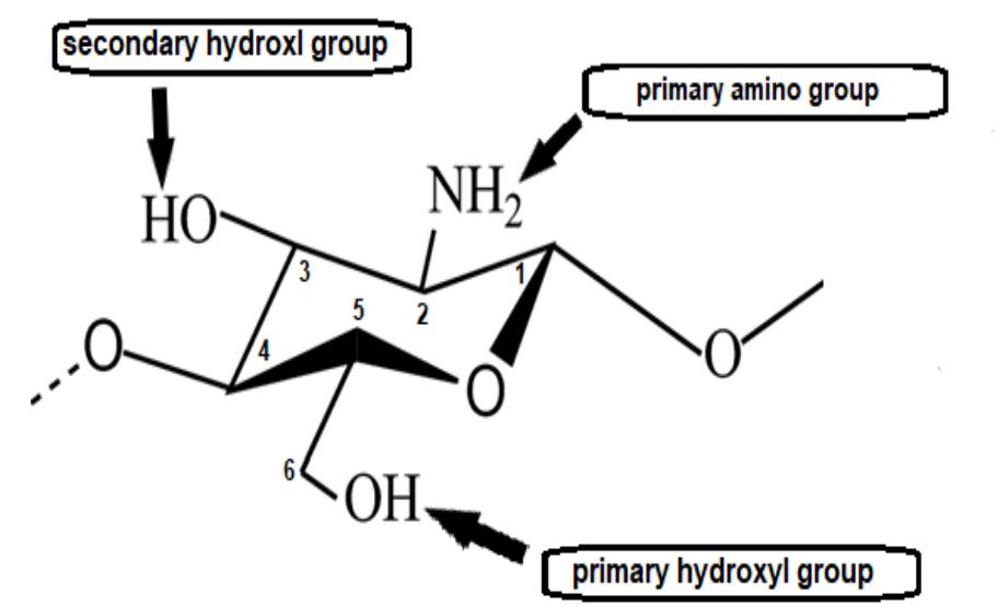 (PDF) Chemical Modification and Characterization of Chitosan for ...
