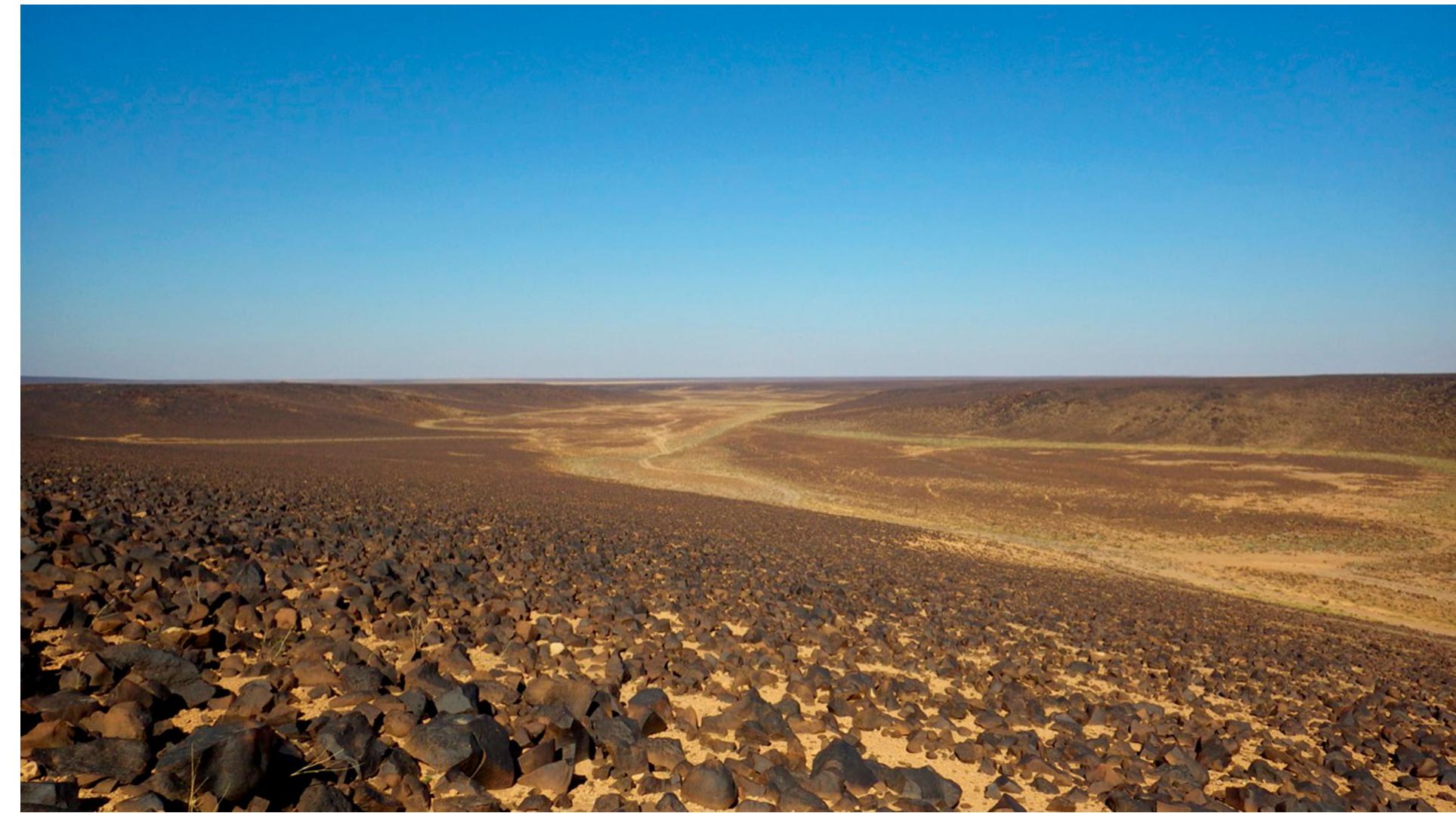 Figure 1 The Harrah desert in north-eastern Jordan (© Al-Manaser). 