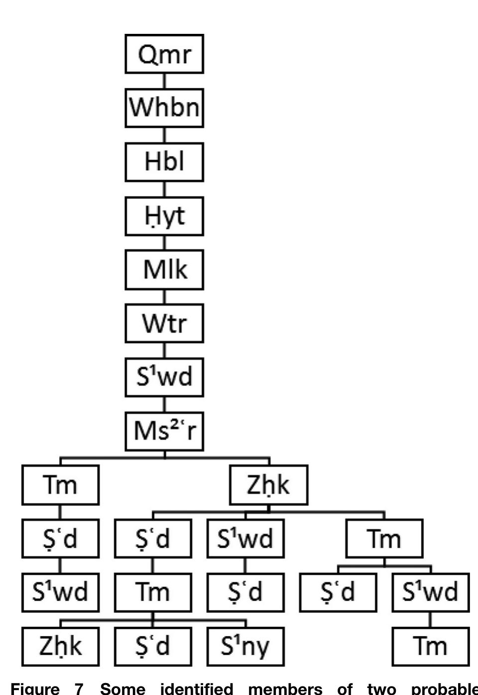 ‘By S'ny son of Tm son of S‘d’ 