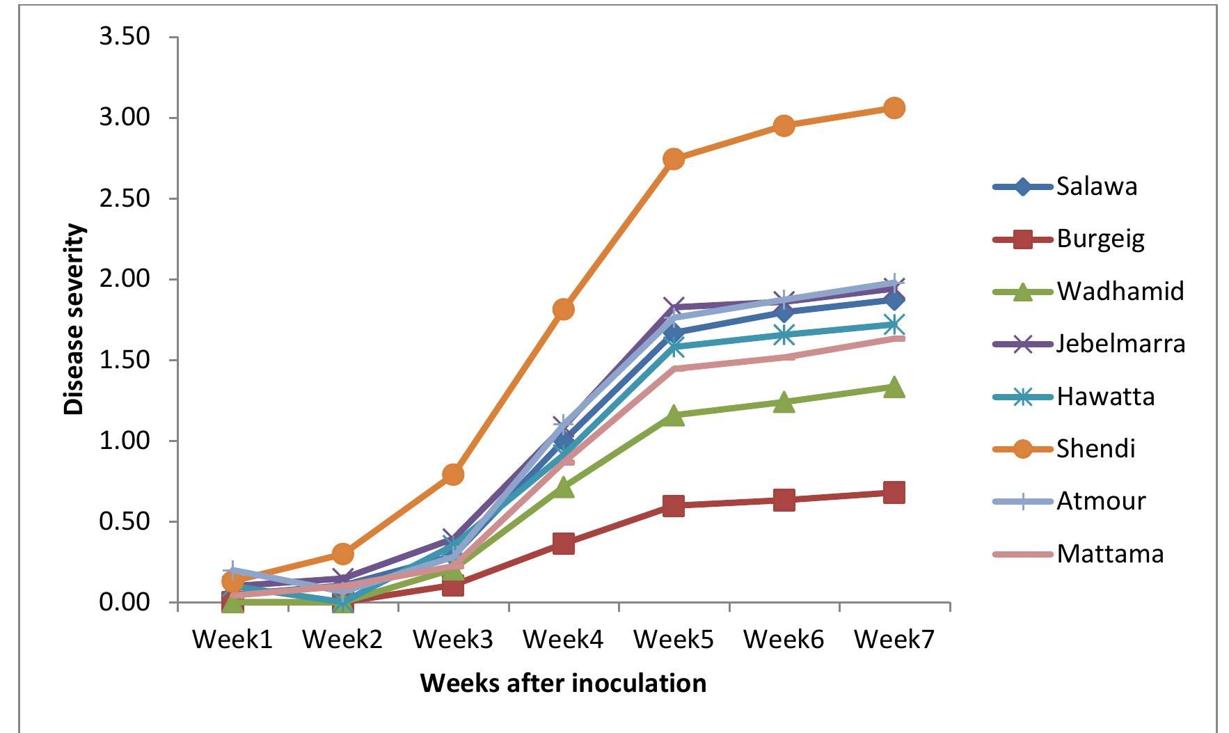 The overall development of disease severity in the eight cultivars is presented in Fig. 2.  Fig. 2. Disease severity progress in chickpea cultivars  In the fifth week after inoculation: highly significant differences were observed among cultivars and isolates. The lowest disease incidence was 16.40 % attained by the cultivar Burgieg and the highest one was 73.72% attained by the cultivar Shendi. The Isolates S9 and S16 cause the highest (58.38) and the lowest (26.38) disease incidence, respectively. 