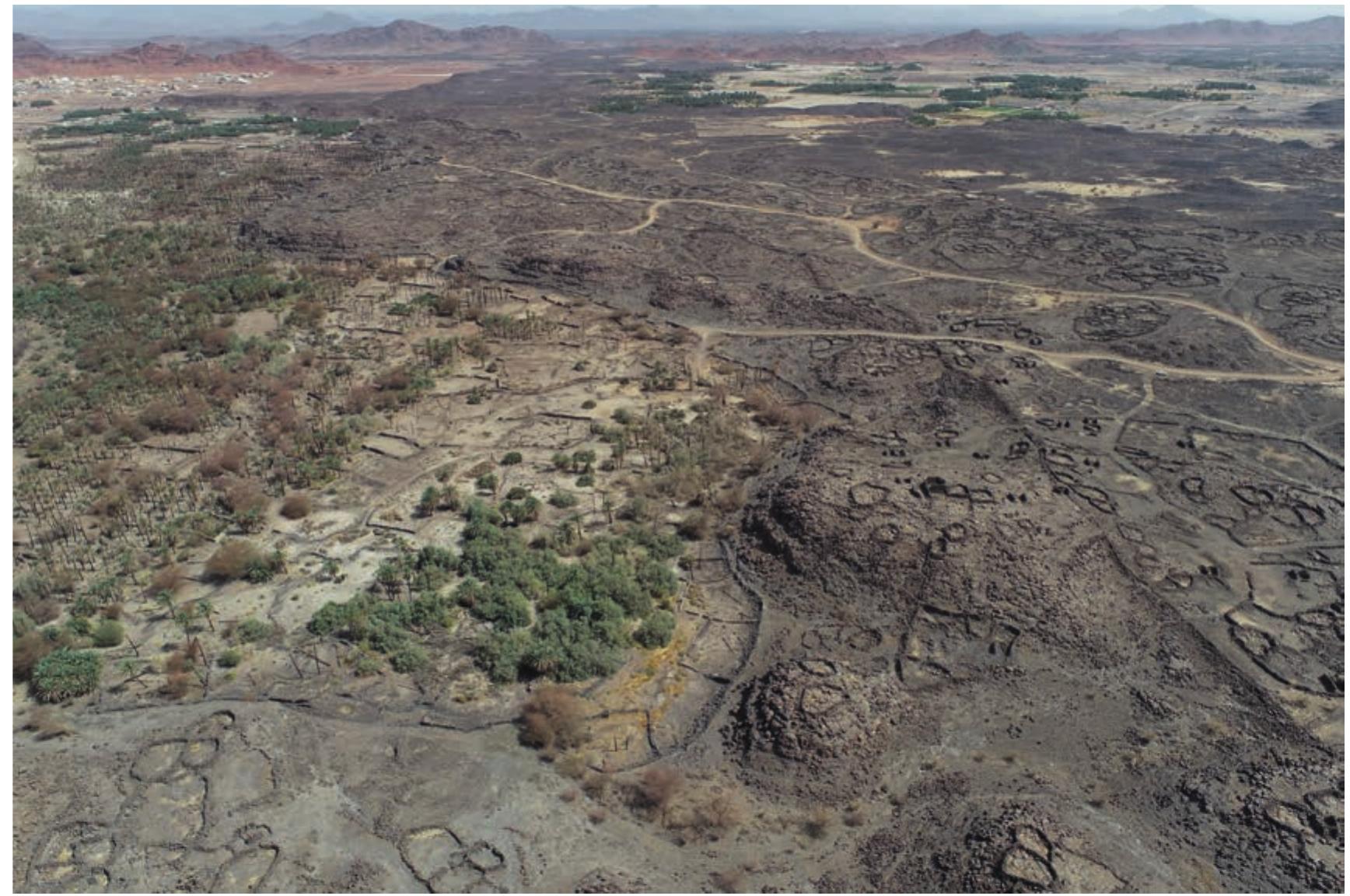 FIGURE 12. View of the line of the outer rampart in east Khaybar (section KH01130), looking north-east (©Khaybar LDAP, K. Guadagnini). 