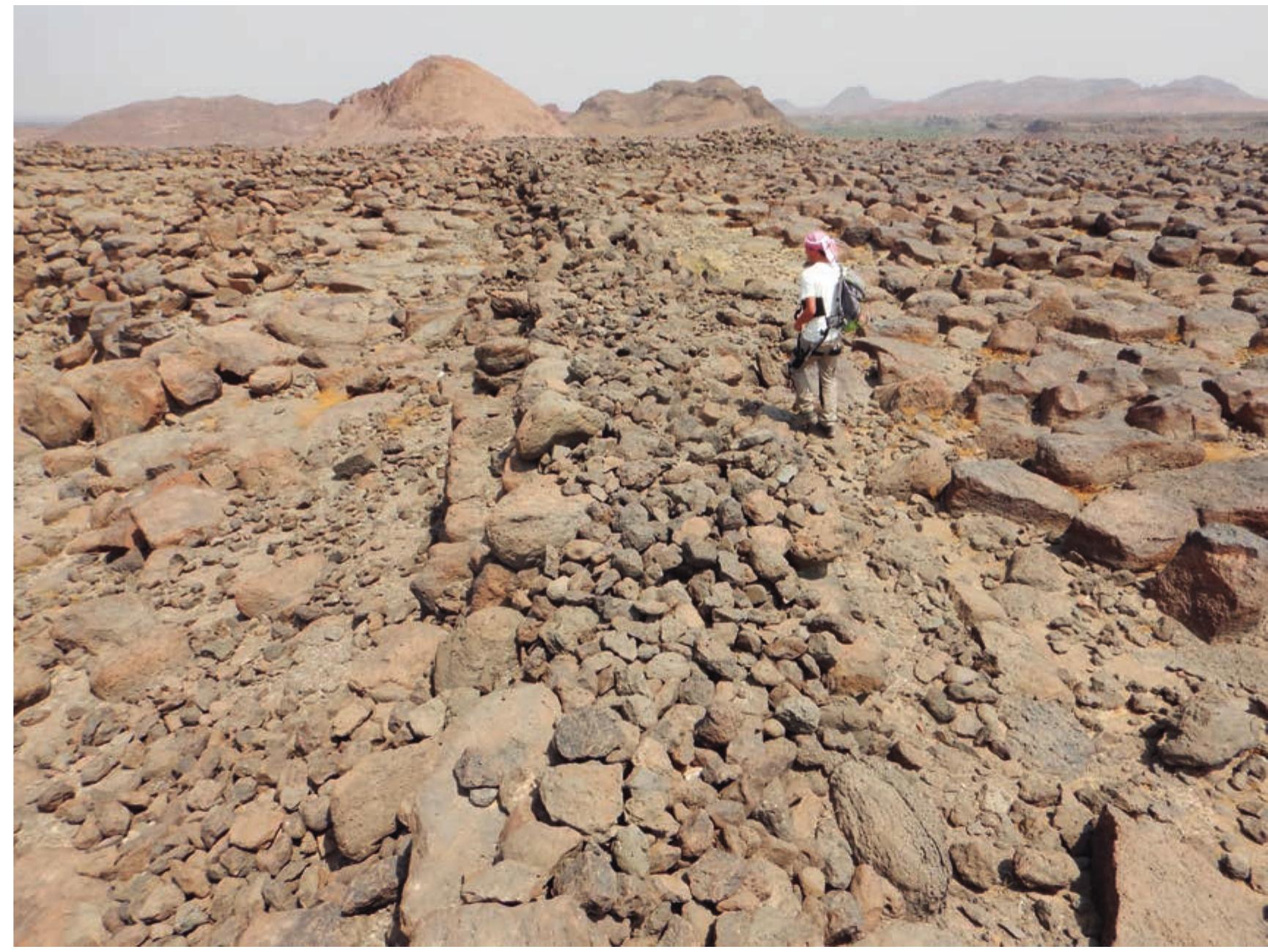 FIGURE 13. Type of stone masonry used in the pre-Islamic rampart (segment KH00922 in the centre of the picture), looking north-east (OKhaybar LDAP, G. Charloux).  strategic locations, are still well preserved up to a height of c.3 m in Makidah (although the majority standing only to c.1.5 m or less). They were systematically built on the outer face of the rampart. We also identified a large number of narrow protected posterns and gates generally located on top of the plateau leading towards the valley and the date-palm groves. The construction of this network of defensive walls, systematically re- employed by later additions and modifications, is dated at this stage to the pre-Islamic period, though this is as yet unconfirmed. It shows that during this period, there was a strong community able to protect settlements and cultivation areas and mark the oasis territory in Khaybar. Such a monumental original construction will greatly contribute to the world heritage value of the oasis.  Arabia, defined as the ‘walled oasis’ (Charloux, AlMalki & AlQaeed 2021). Outer wall segments identified on available satellite imagery, overlaid over earlier funerary avenues, could be the remains of a continuous ine of ramparts surrounding both the cultivated zones and the populated areas of the oasis. The overall reconstruction of the outer wall fortifying the zone from Wadi al-Siwayr to Wadi Halhal, and the upper pre-Islamic settlements (and later Islamic forts), was confirmed by aerial imagery captured by drone, and a detailed ground survey, verifying each segment of wall and its related features and collecting associated surface material or inscriptions. Preserved over a length of more than 10 km, sometimes to a height of more than 3 m, in the past the defensive walls of Khaybar ran for more than 22 km. A long inner subdivision of the oasis was also observed in the Qurayjir area, as well as many other isolated walls. More than 100 bastions, positioned at   line of ramparts surrounding both the cultivated 