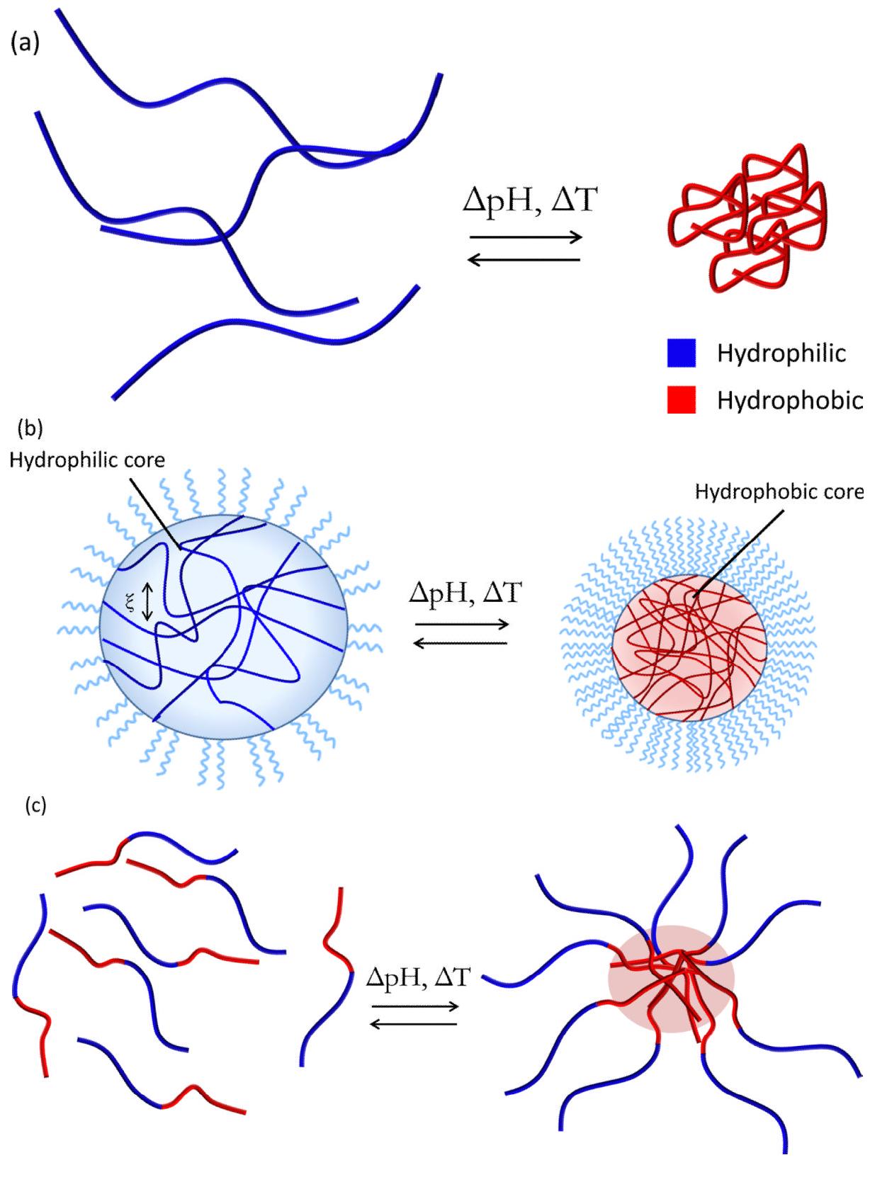 (PDF) Polymers for Drug Delivery Systems