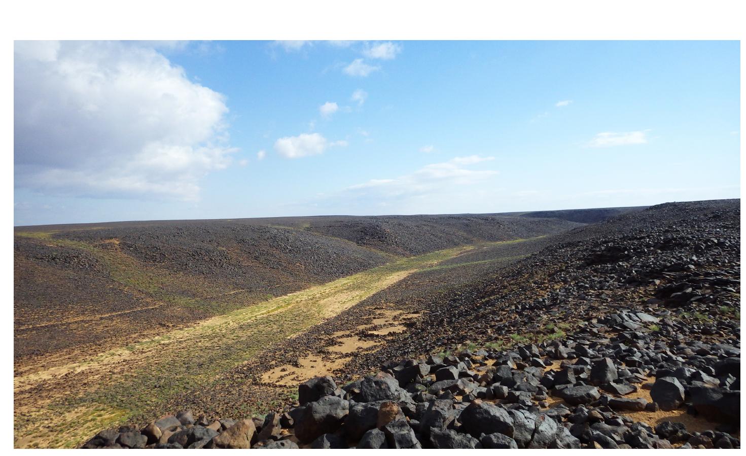 Figure 2: View of Wadi Salma (Photograph: A. Al-Manaser). 