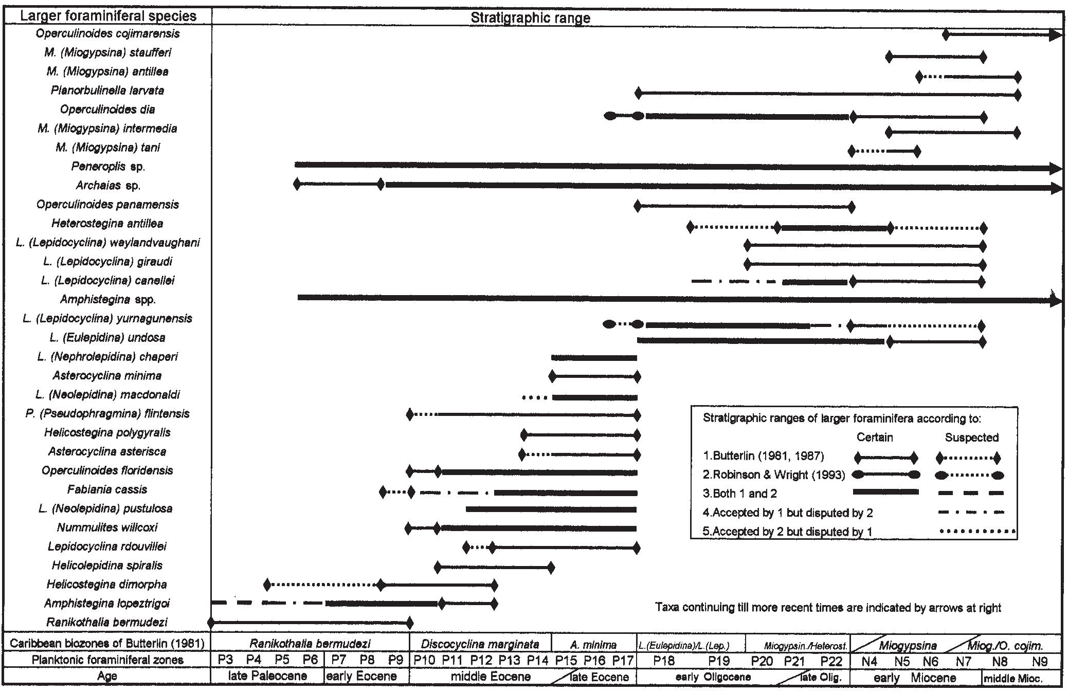 (PDF) Cenozoic biostratigraphy of larger foraminifera from equatorial ...