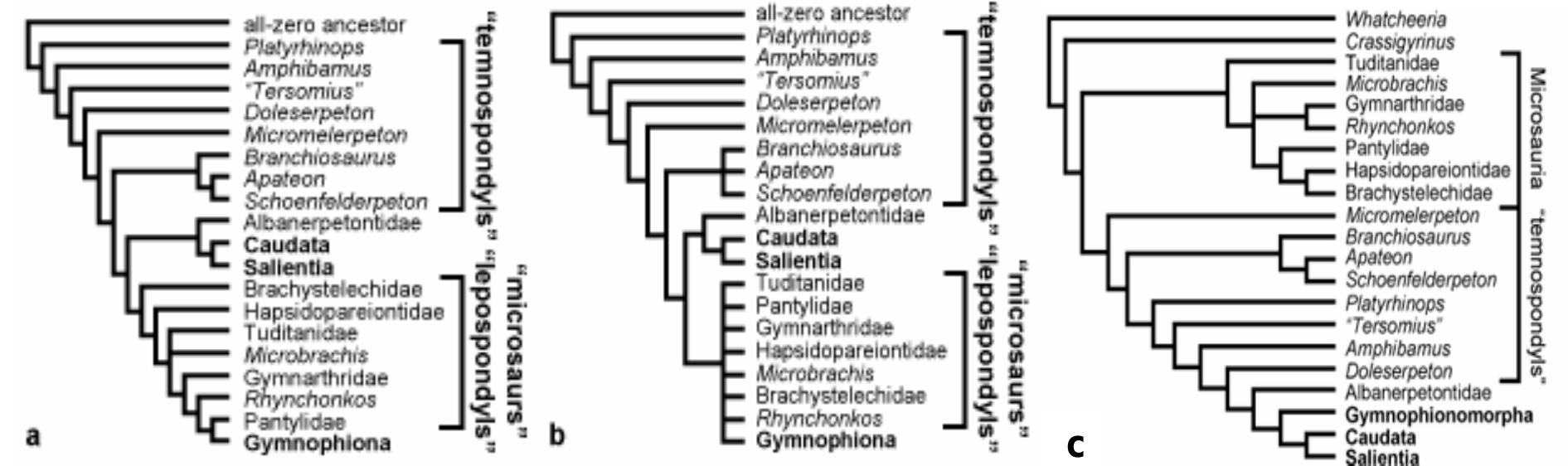 PDF) Tribute to Charles Darwin and Bernissart Iguanodons