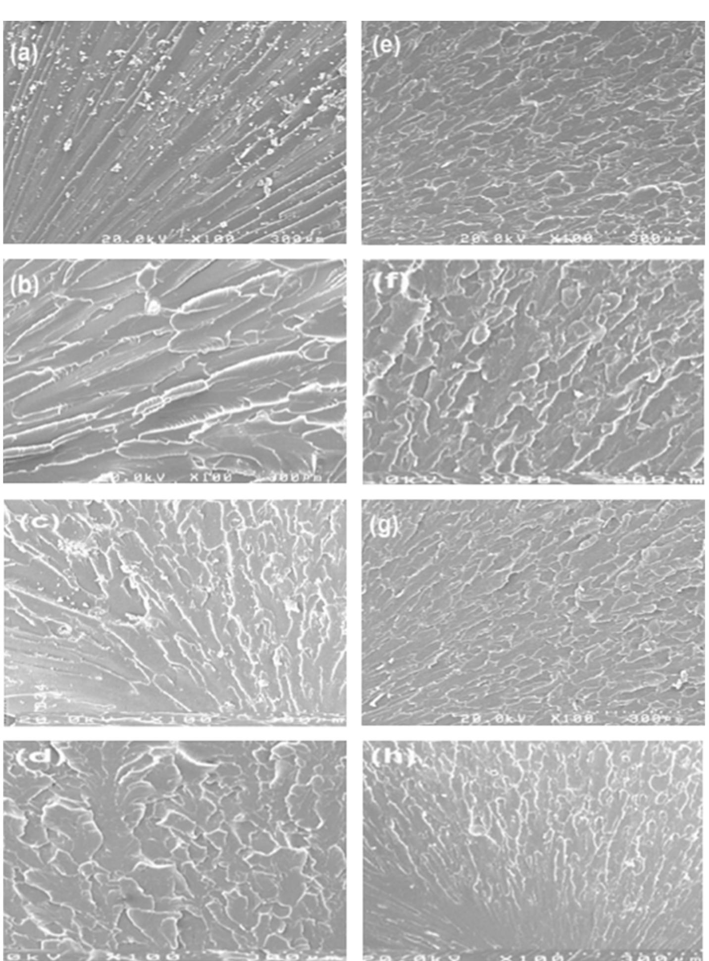 (PDF) Enhancing mechanical properties of epoxy resin using waste lignin ...