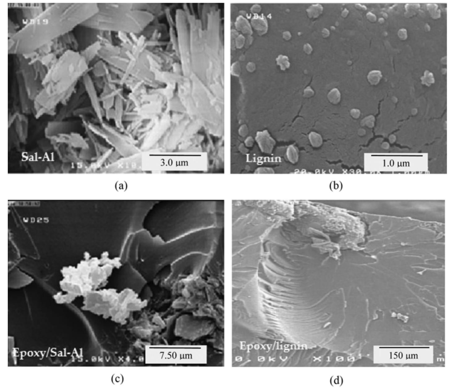 (PDF) Enhancing mechanical properties of epoxy resin using waste lignin ...