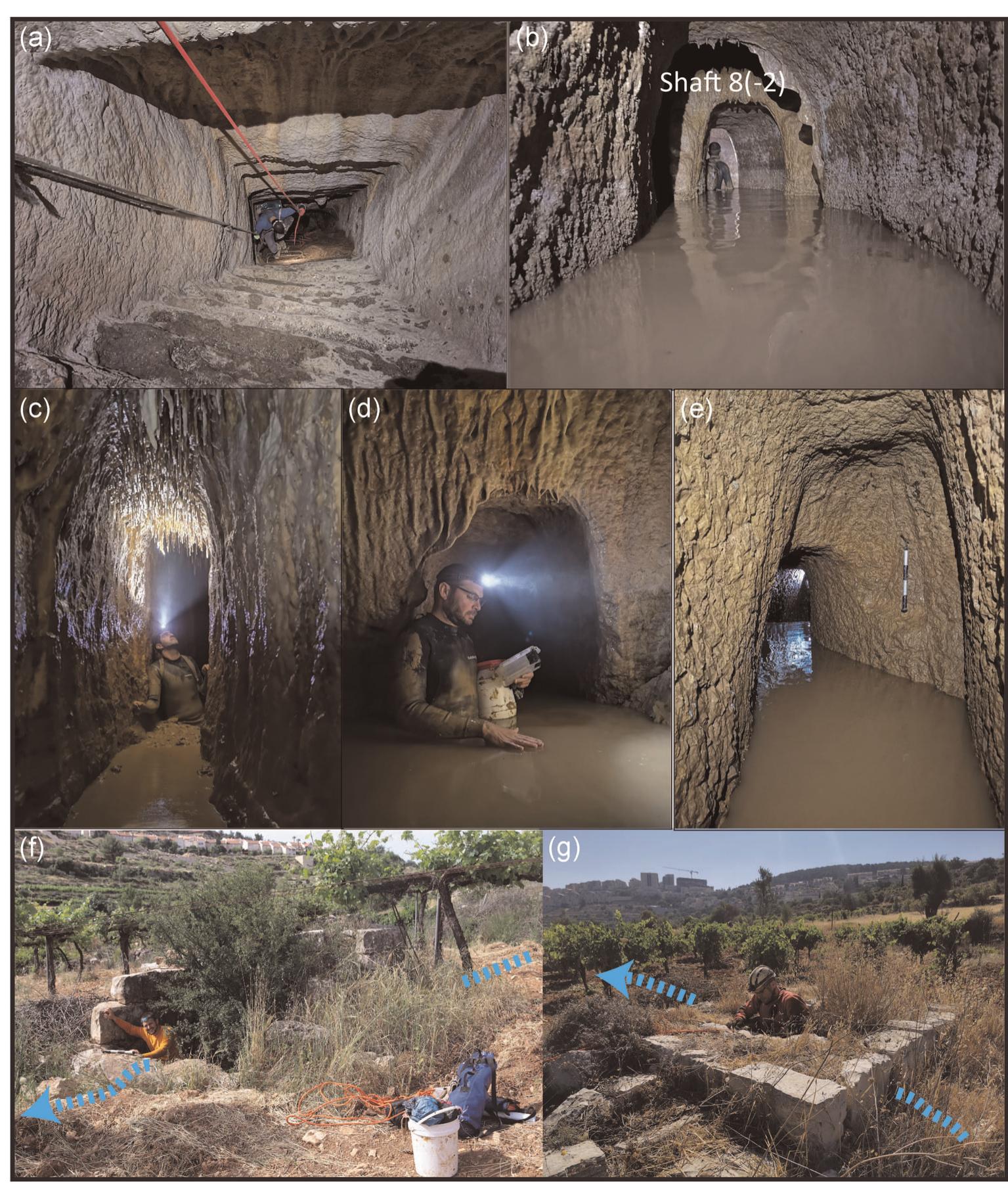 FIGURE 9 _ Pictures of hewn tunnel accessed from Shaft 8. (a) Base of Shaft 8 looking downward. (b) Looking north toward Shaft 8(-2). (c) Stalactites between Shafts 8(-2) and 8(-3). (d) Base of Shaft 8(-1). The speleothem draperies growing on the shaft walls due to vertical water flow should be noted. (e) Meeting point of stonecutter's teams between Shaft 8 and Shaft 8(+1). Both horizontal and vertical deviation should be noted. (f) Entrance of Shaft 8 (looking south). The blue dashed line represents the approximate route of the Shaft Tunnel.  (g) Inspecting shaft number 12 that was found open on the surface, yet clogged in its base (looking east). The stones surrounding the shaft opening were placed probably during the British period in the 20th century. The blue dashed line represents the approximate route of shaft tunnel. It should be noted that the tunnel is located in the valley beneath the town of Efrat (appears on the hills in the background) (Photos by Y. Negev and A. Yechezkel) [Color figure can be viewed at wileyonlinelibrary.com] 