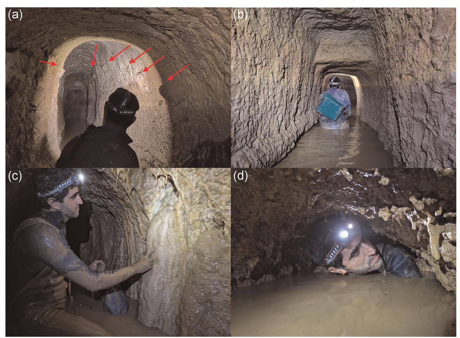 FIGURE 11 Pictures of hewn tunnel accessed from Shaft 14: (a) Lamp protrusions, discovered only from Shaft 14 toward Shaft 13 (red arrows). (b) Looking downstream from Shaft 13: Step in the ceiling indicating vertical deviation correction along the tunnel, not at a stonecutters' meeting point, should be noted. (c) Water flowing into the rock-hewn tunnel, between Shaft 16 and Shaft 17. (d) Low passage  before Shaft 16 (Photos by Y. Negev) [Color figure can be viewed at wileyonlinelibrary.com] 