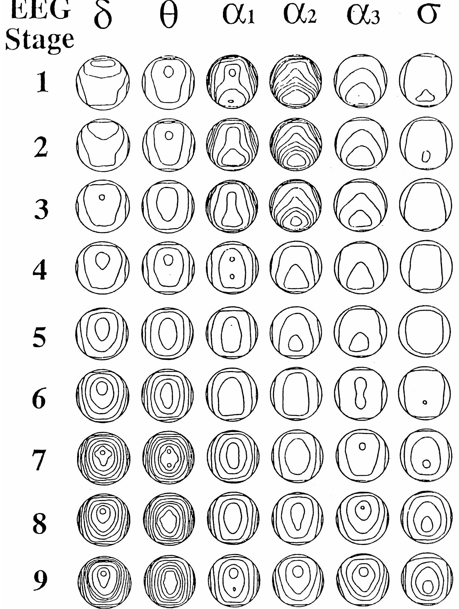 (PDF) EEG alpha and theta oscillations reflect cognitive and memory ...