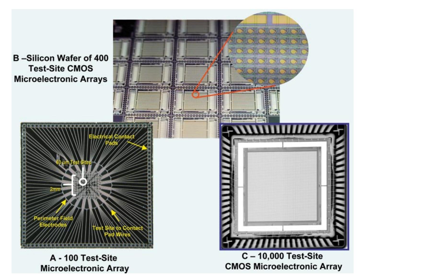 (PDF) DNA Microarray Technology: Devices, Systems, and Applications