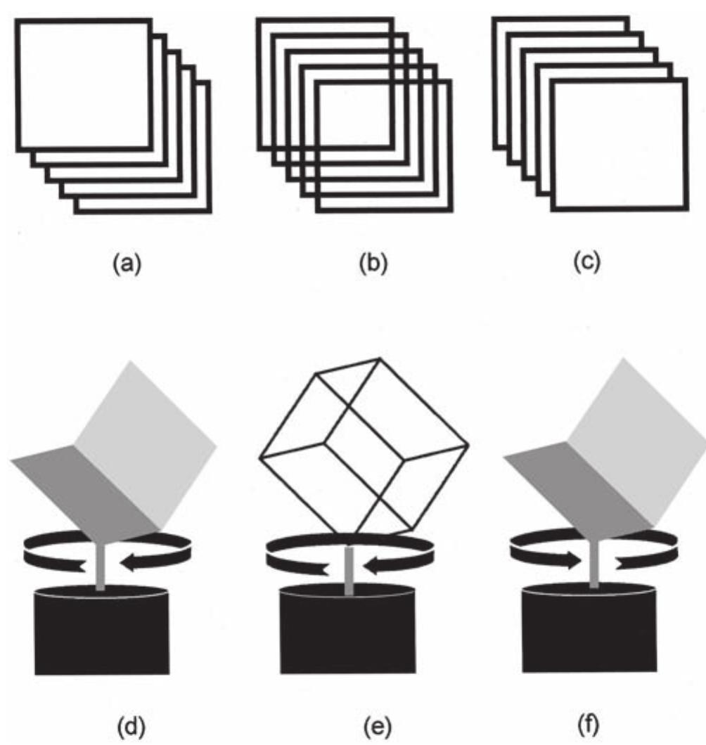 (PDF) Enduring Interest in Perceptual Ambiguity: Alternating Views of ...