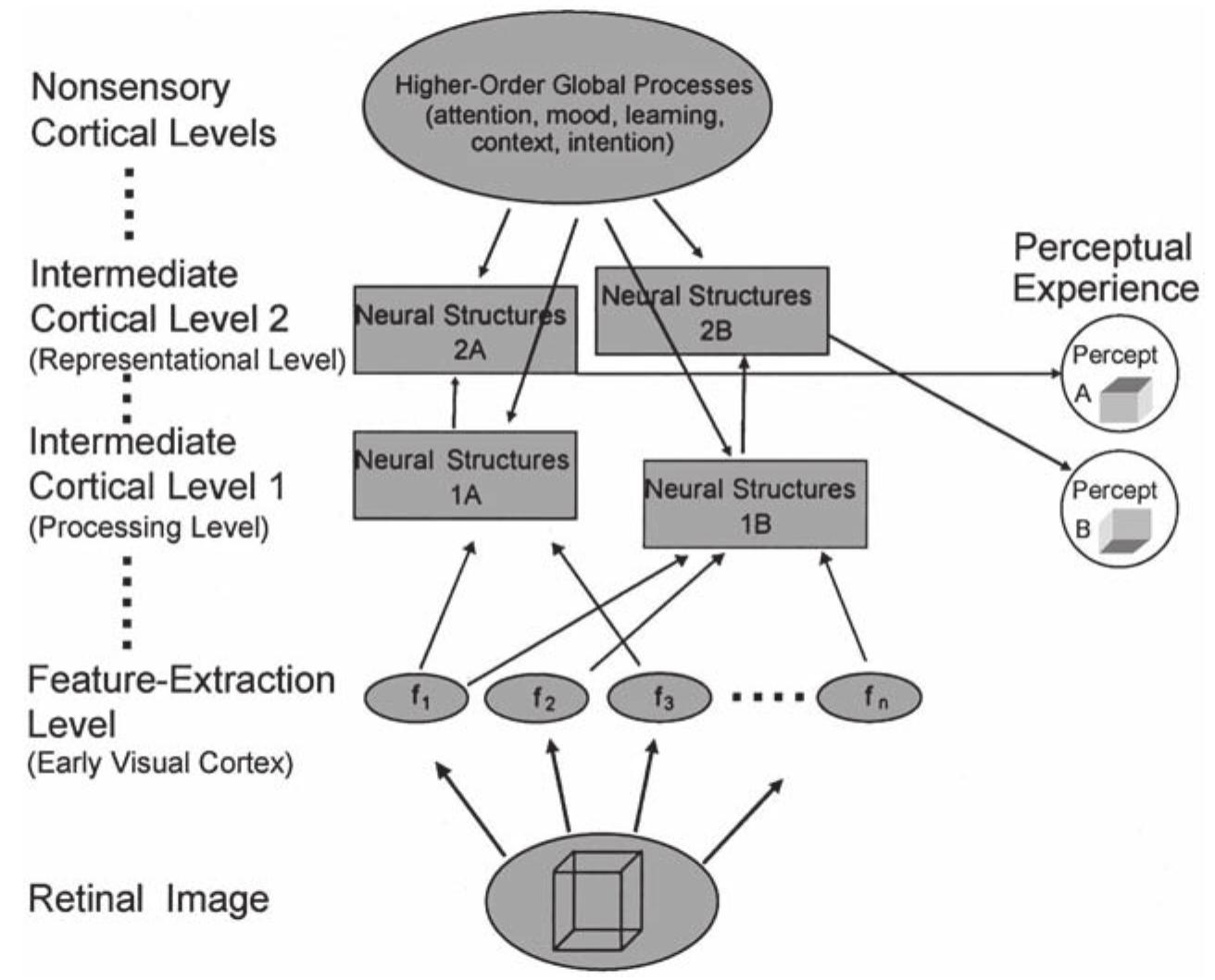 (PDF) Enduring Interest in Perceptual Ambiguity: Alternating Views of ...