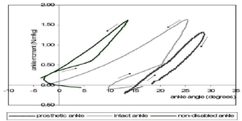 (PDF) Comparative biomechanics of prosthetic feet