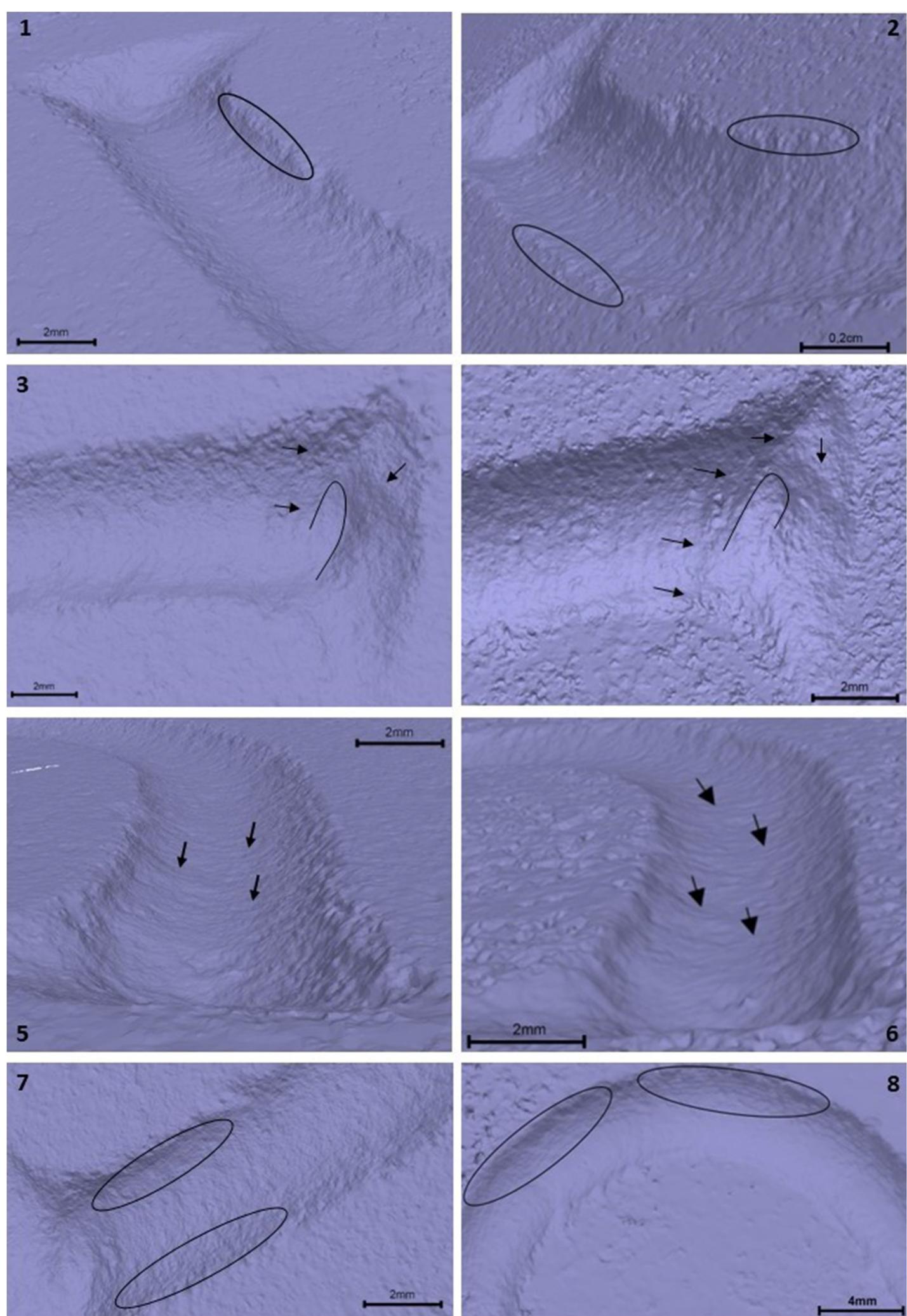 Figure 23 - from Micro-photogrammetry and traceology: new