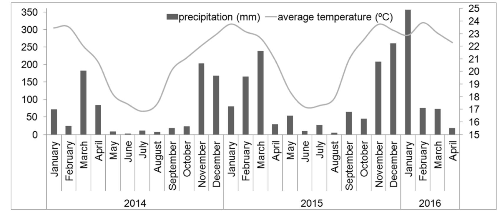Dimetrici (PDF) Early assessment of tree species with potential for carbon offset ...
