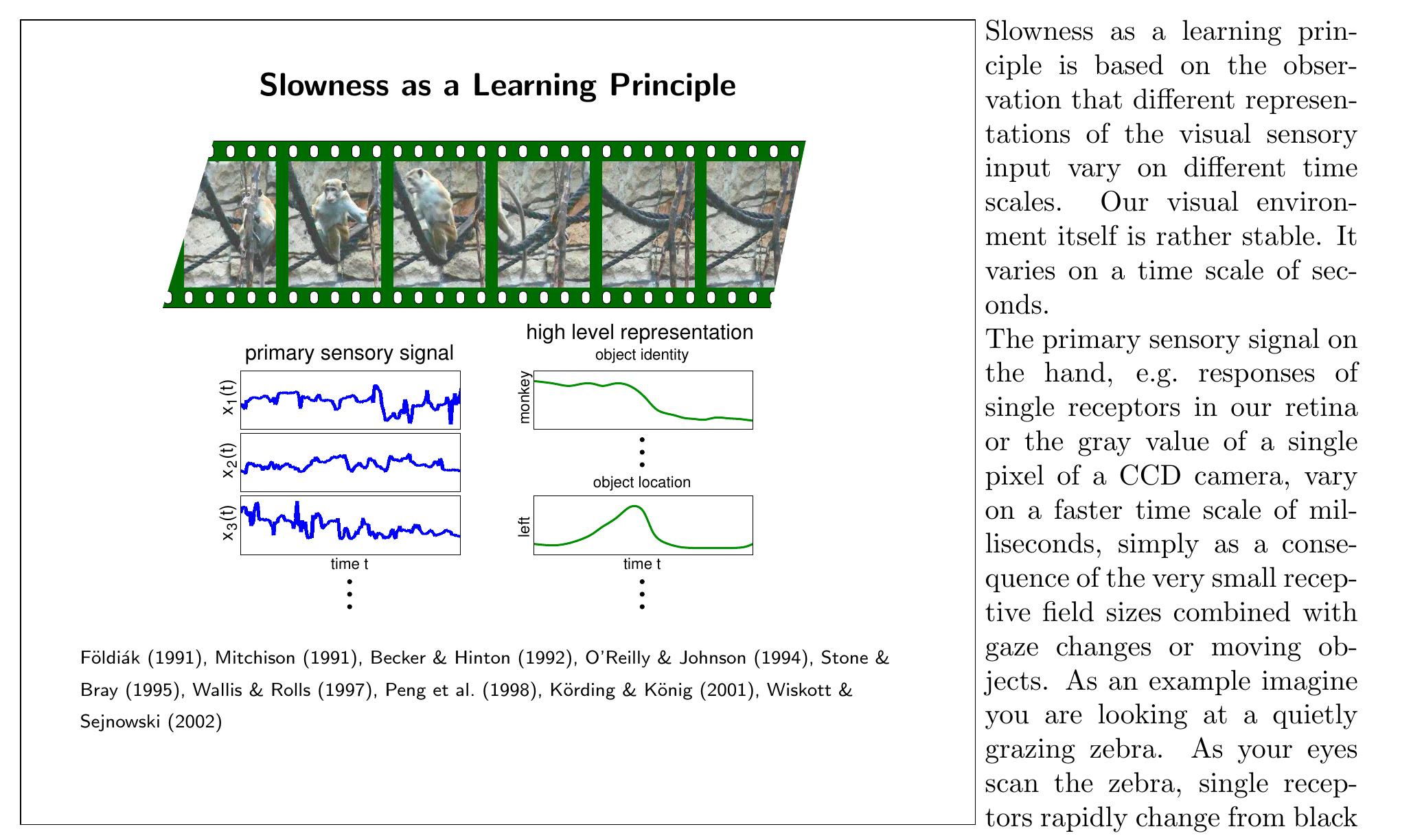 (PDF) Slow feature analysis
