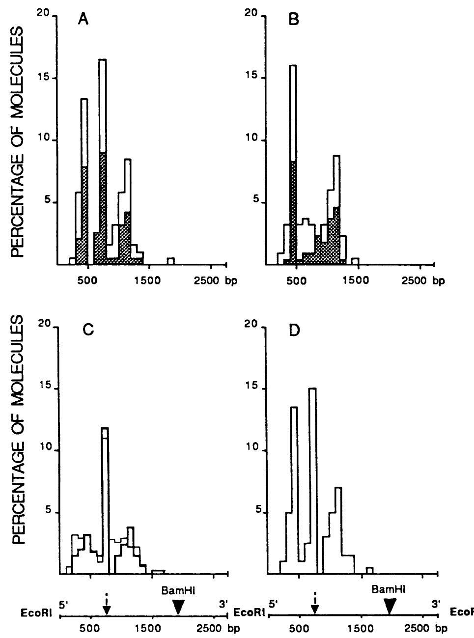 Figure 4 - Electron microscopic visualization of protein-DNA