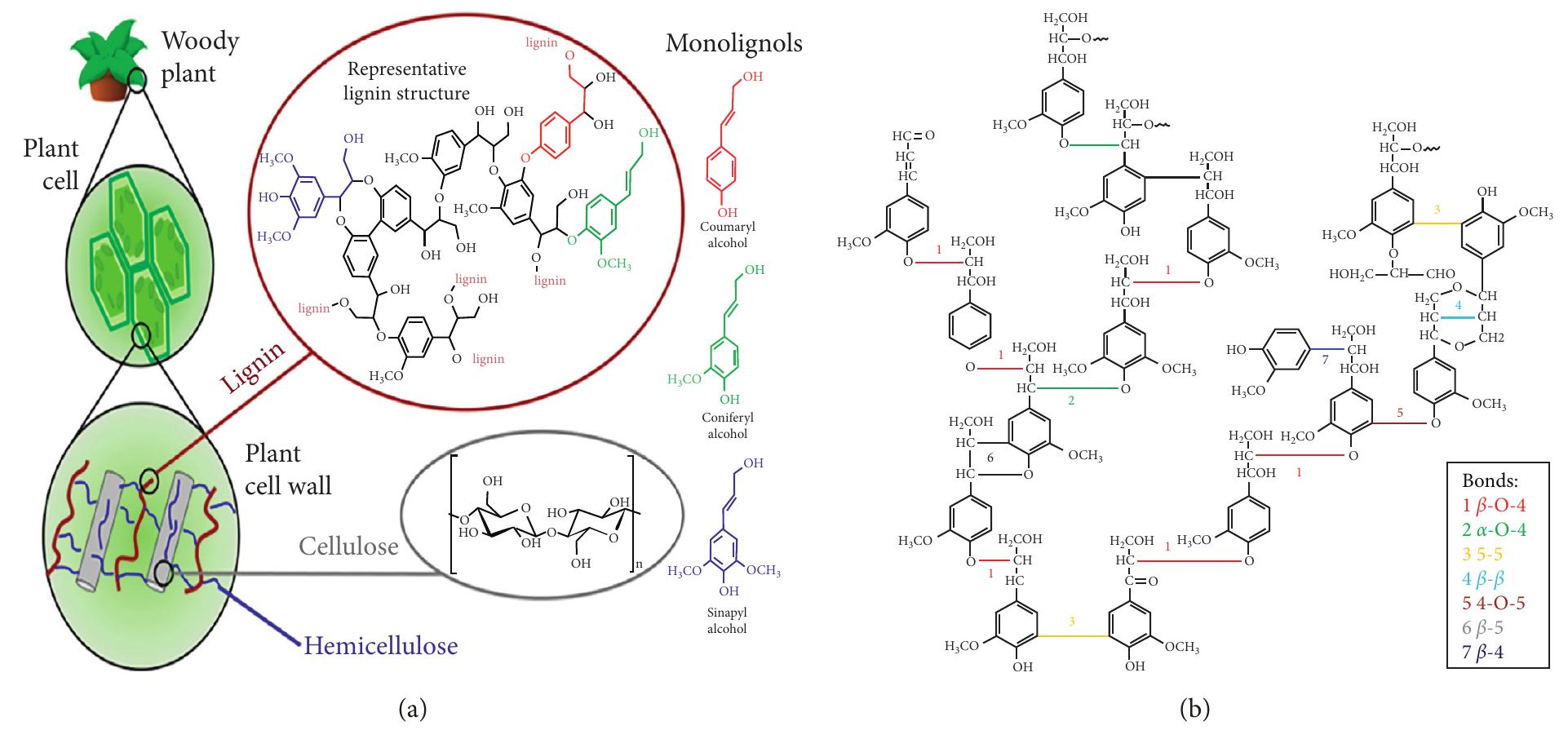 Figure 12 - from Lignin as Green Filler in Polymer