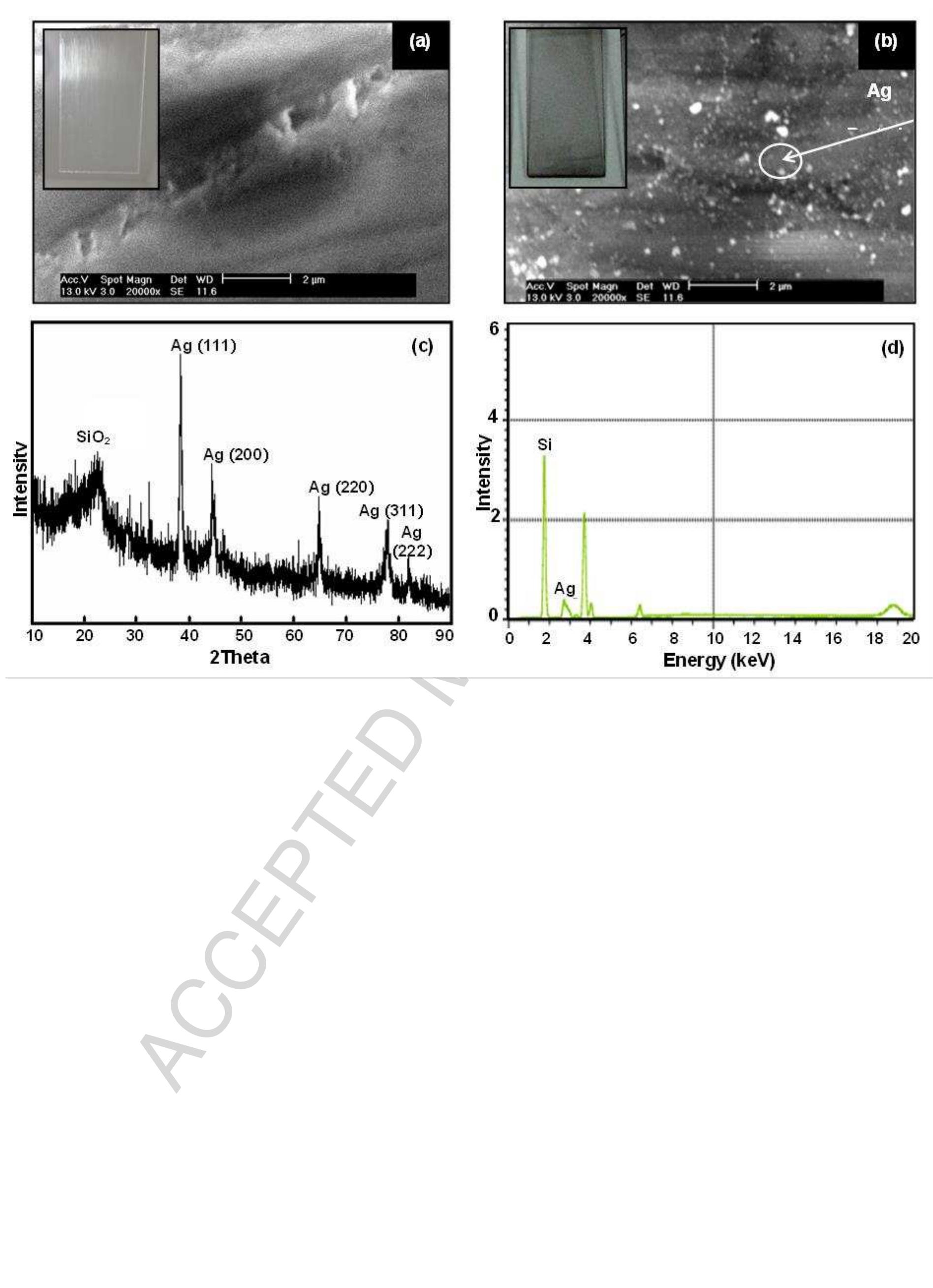 Figure 3 - from Electroless copper plating on nano-silver