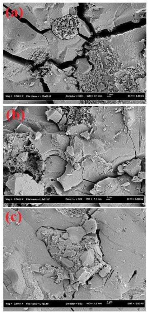 Effect of naoh molarity on microstructure of gpms (a) 2m (b)