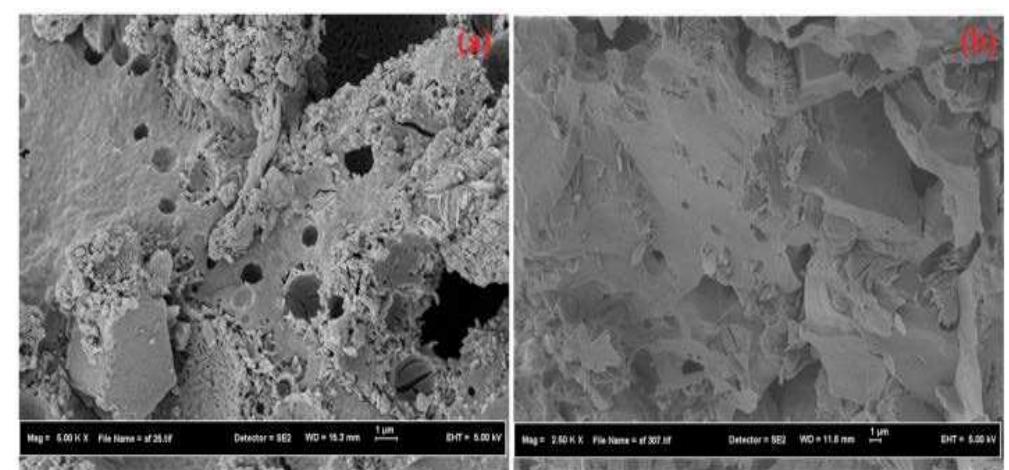 Effect of naoh molarity on microstructure of gpms (a) 2m (b)