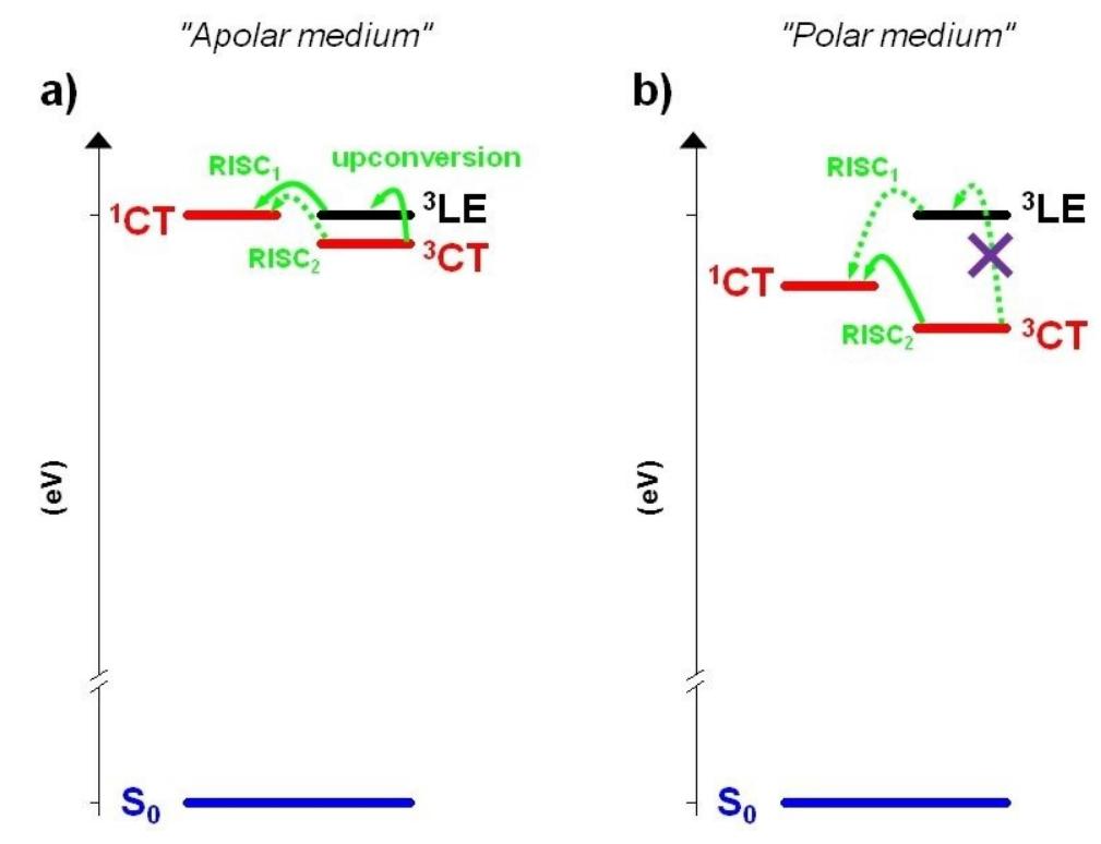 Schematic representation of jablonski diagrams of cp-ecl in