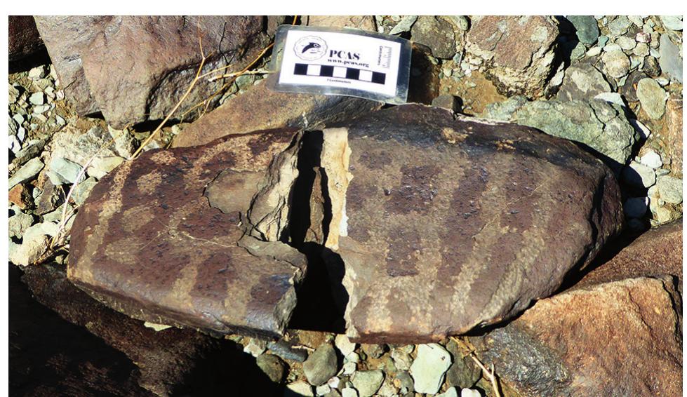 Rectilinear Rocks (PDF) A Pristine Site in the Colorado Desert by Mary Jespersen Martín ...
